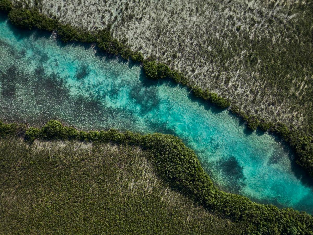 Como Parrot Cay Sandy Point Εξωτερικό φωτογραφία